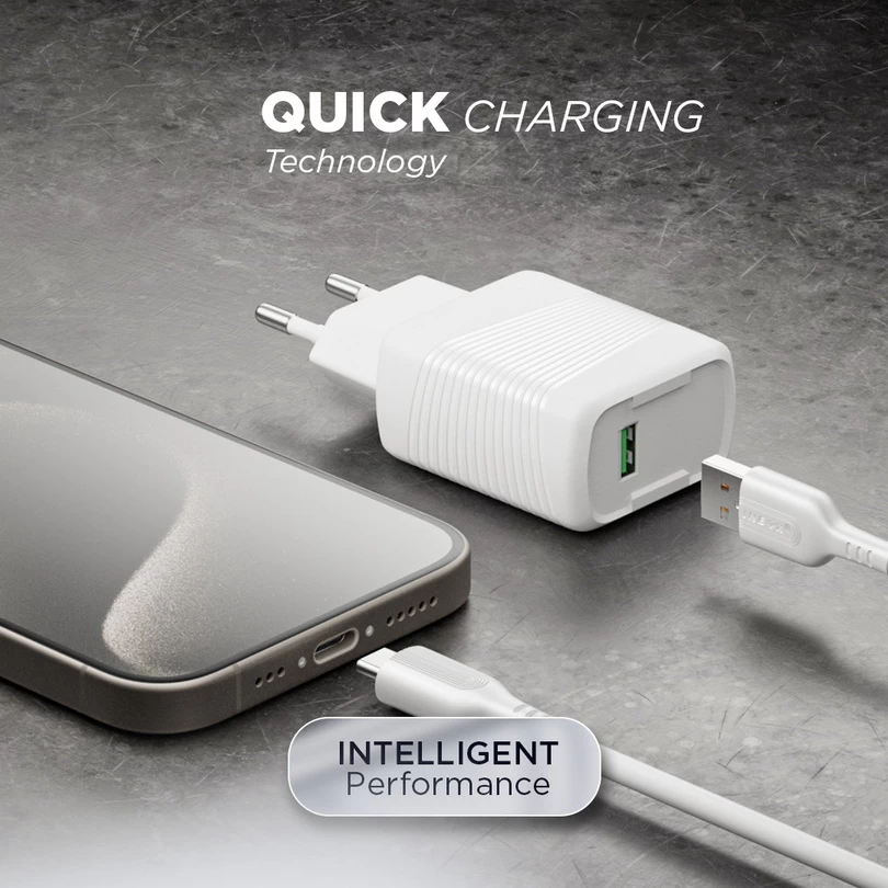FA-3 10.5W Travel Charger - Image 2